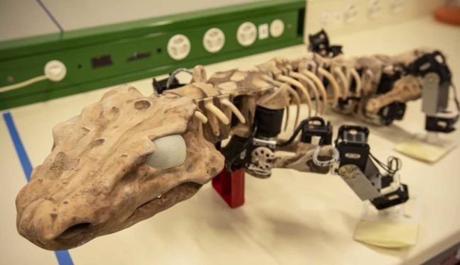 Ученые создали роботизированную копию древнего ящера